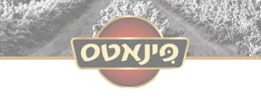 פינאטס-removebg-preview